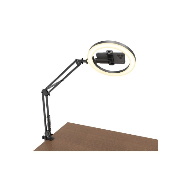 Rixus RXLG30 Ring Light med bordbeslag 10"
