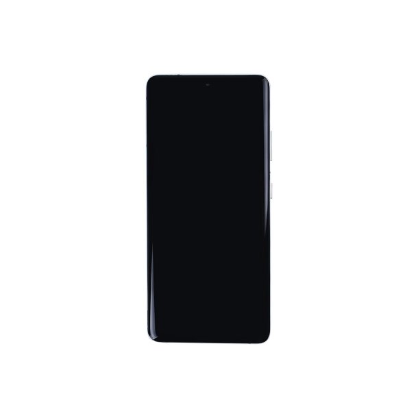 Sk�rm til Samsung Galaxy S21 Ultra 5G G998B med ramme Phantom S�lv Soft-OLED 120Hz