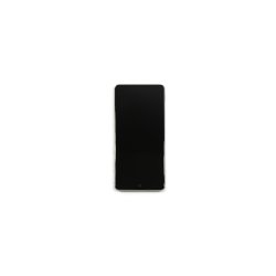 Sk�rm til Samsung Galaxy Note 10 Lite N770F OLED med Ramme Service Pack S�lv