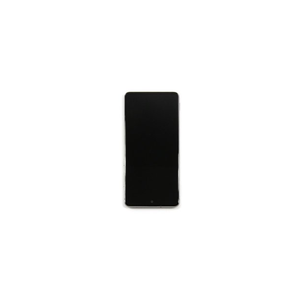 Sk�rm til Samsung Galaxy Note 10 Lite N770F OLED med Ramme Service Pack S�lv