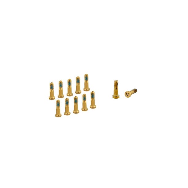 iPhone 8 Plus bottom screw set Guld