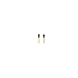 iPhone X bottom screw set Guld