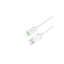 Rixus USB-A til Lightning kabel 30cm Hvid RXUC13AL