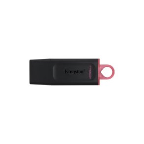 Kingston USB-flashdrev 256GB