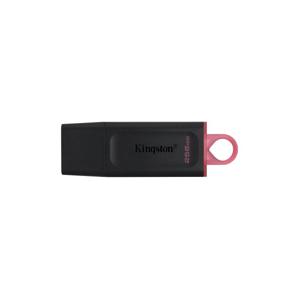 Kingston USB-flashdrev 256GB