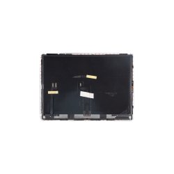 iPad Pro 12.9 (2022) Sk�rm Display og Digitizer Pulled